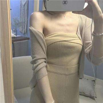 梦想西游破解版下载
